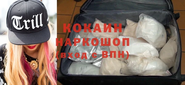 индика Белоозёрский