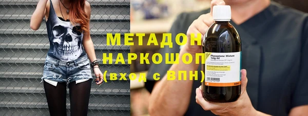 шишки Белокуриха