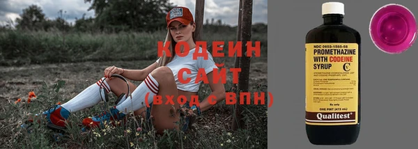 шишки Белокуриха