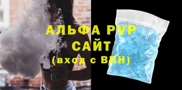 шишки Белокуриха
