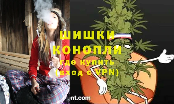 ГАЛЛЮЦИНОГЕННЫЕ ГРИБЫ Остров
