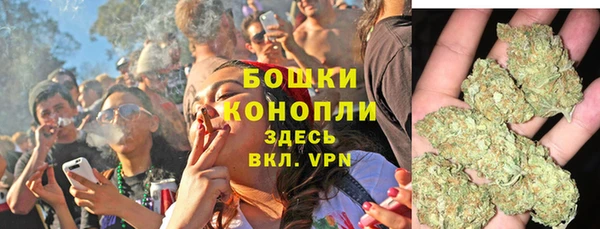 шишки Белокуриха