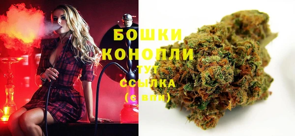 индика Белоозёрский