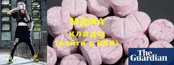 шишки Белокуриха