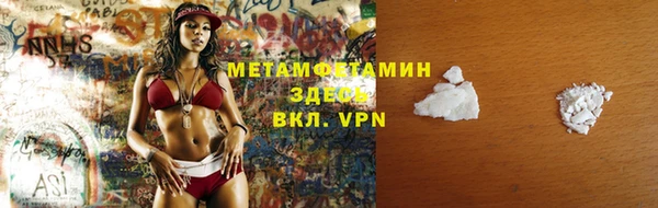 шишки Белокуриха