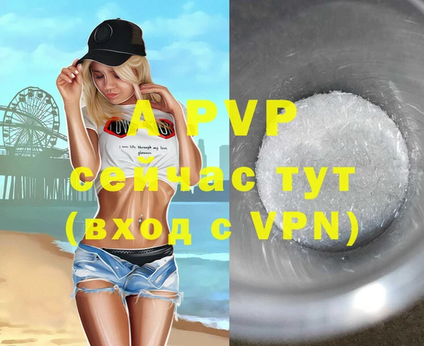 индика Белоозёрский