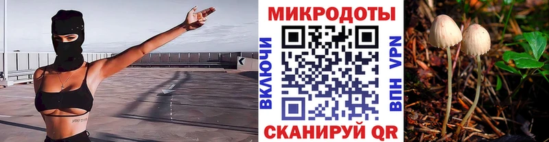 Псилоцибиновые грибы Cubensis  МЕГА ССЫЛКА  Ельня 